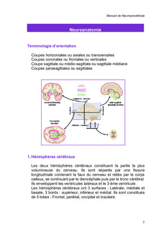 Manuel de Neuroanesthésie
