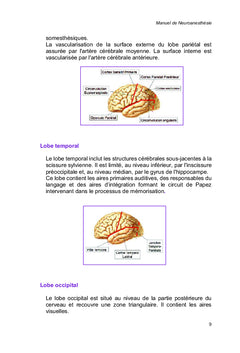 Manuel de Neuroanesthésie