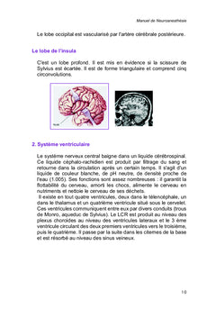 Manuel de Neuroanesthésie