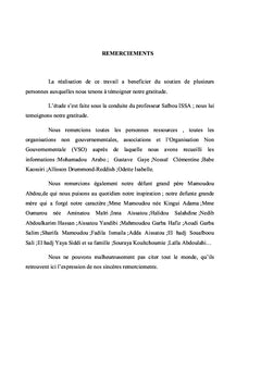 Analyse des modèles opératoires de V.S.O dans l'éducation au Cameroun