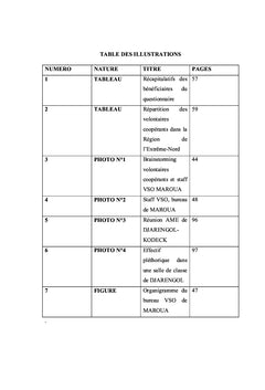 Analyse des modèles opératoires de V.S.O dans l'éducation au Cameroun
