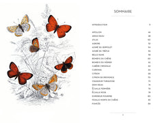 Le Petit livre des papillons