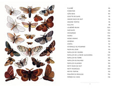 Le Petit livre des papillons