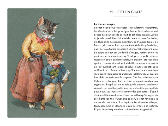 Le petit livre des chats