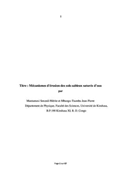 Mécanismes d'érosions des sols sableux saturés d'eau