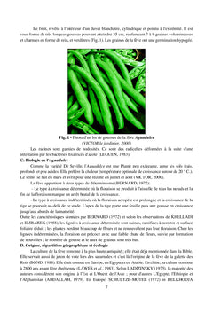 Caractérisation physiologique de la tolérance de la fève à la salinité