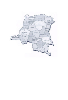 Faillite de la gouvernance et crise de la construction nationale au Congo-Kinshasa