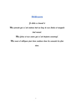 la capacité du réseau WiMAX