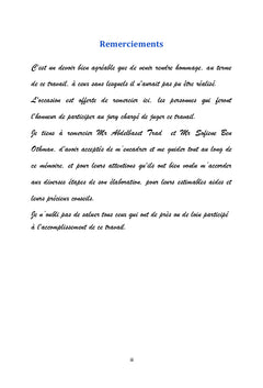 la capacité du réseau WiMAX