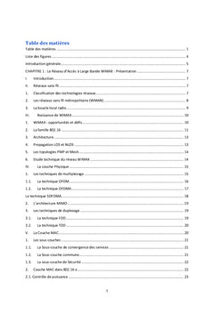 la capacité du réseau WiMAX