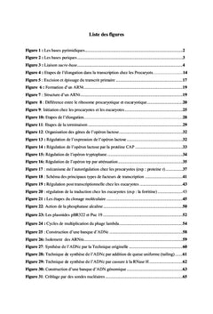 De la biologie moléculaire au génie génétique