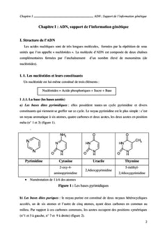 De la biologie moléculaire au génie génétique