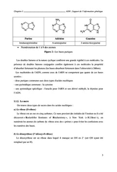 De la biologie moléculaire au génie génétique