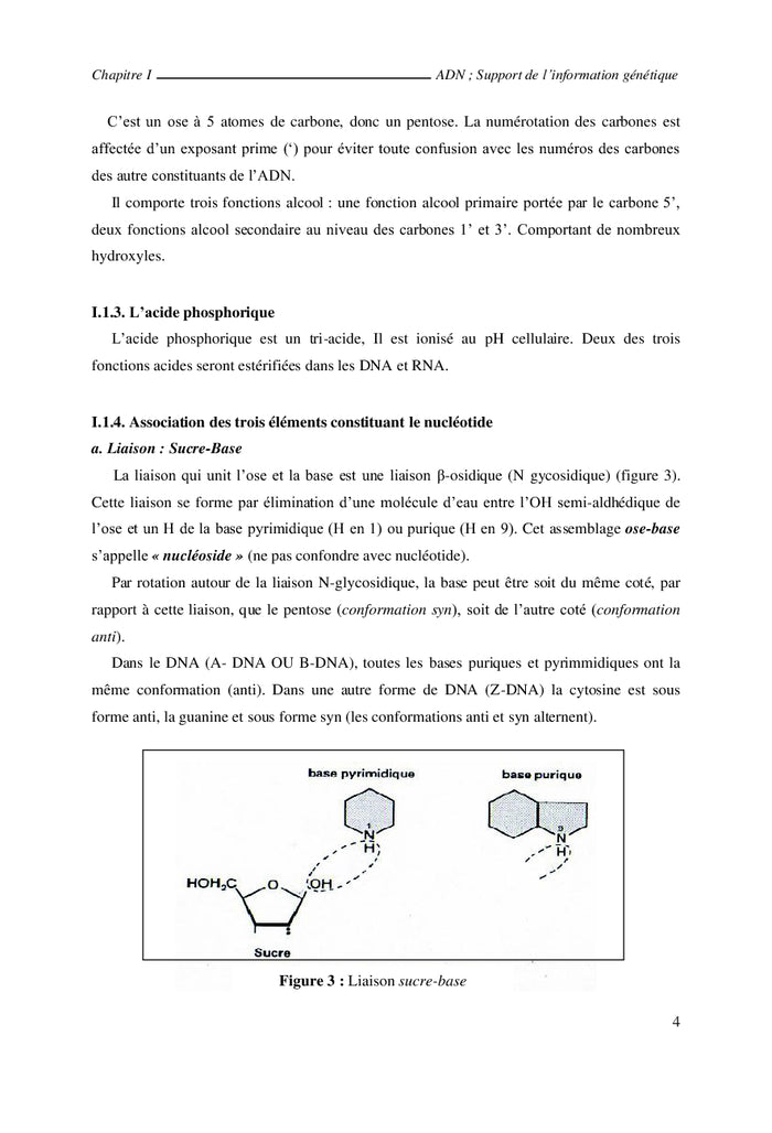 De la biologie moléculaire au génie génétique