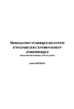 Modélisation numérique des effets d'incendie sur l'environnement