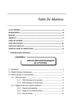 Modélisation numérique des effets d'incendie sur l'environnement