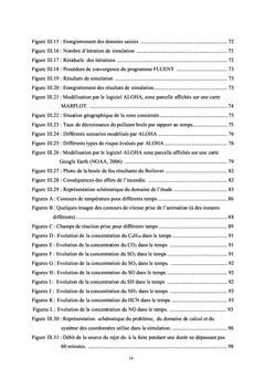Modélisation numérique des effets d'incendie sur l'environnement