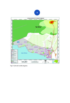 Etude thermo-volcanique de la partie Sud du volcan Nyiragongo, Goma
