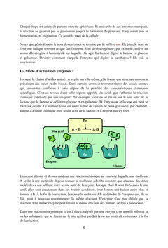 Les enzymes en industrie