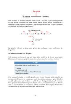 Les enzymes en industrie
