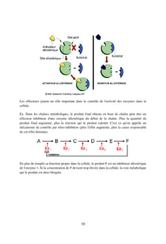 Les enzymes en industrie