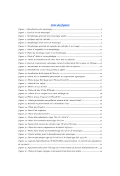 Lutte anti-vectorielle