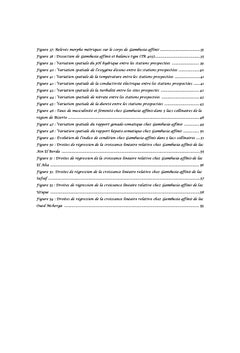 Lutte anti-vectorielle