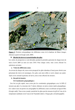 Dynamique des larves de moustiques et lutte biologique