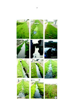 Dynamique des larves de moustiques et lutte biologique