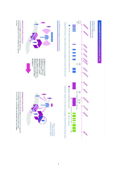 5G NR : Principes fondamentaux du concept