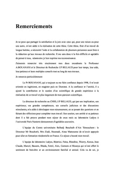 Problématique de la mise en oeuvre de la gestion intégrée de l'eau