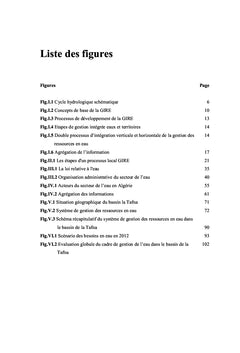 Problématique de la mise en oeuvre de la gestion intégrée de l'eau