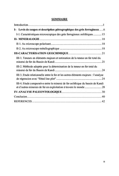 Etude géologique du minerai de fer oolithique du Bassin de Kandi (Nord-Est Bénin)