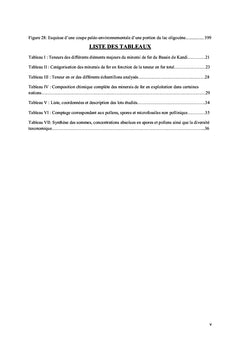 Etude géologique du minerai de fer oolithique du Bassin de Kandi (Nord-Est Bénin)