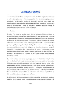 L'Economie Sociale et Solidaire au Maroc