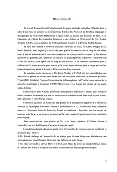 Cancer du Sang