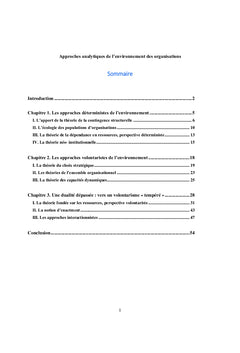 Approches analytiques de l'environnement des organisations