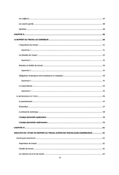 Le Rapport au Travail dans un Contexte Entropique