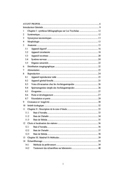 Eco-biologie de phorcus turbinatus des cOtes de l'est-algErien.
