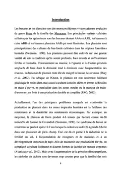 L'efficacité des rangées de paillis in situ améliorées