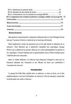 Ras Ibn Hani, une Ile devenue presqu'Ile A l'Age du Bronze