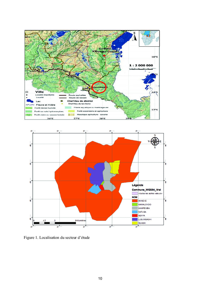 Estimation de la perte des informations en cartographie numErique