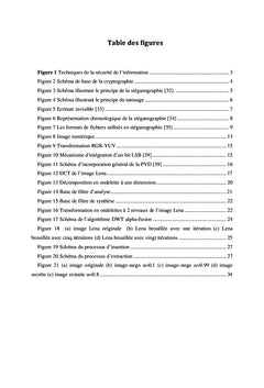 La stéganographie par les images