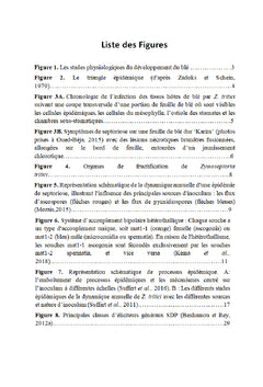 La septoriose du blé