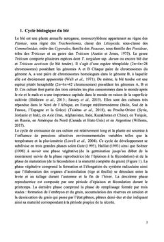 La septoriose du blé
