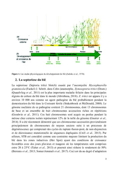 La septoriose du blé
