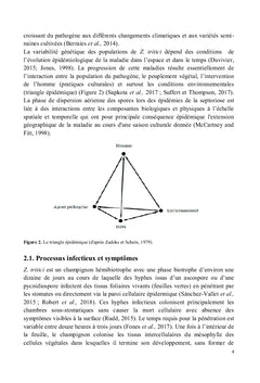 La septoriose du blé