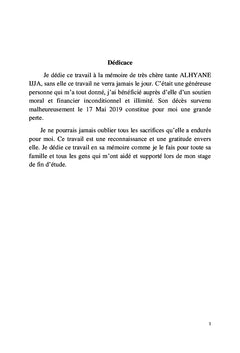 Contribution à l'étude géologique des prospects miniers à cuivre