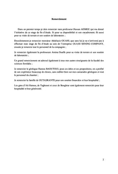 Contribution à l'étude géologique des prospects miniers à cuivre