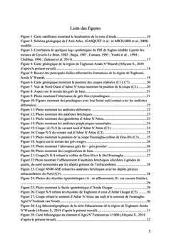 Contribution à l'étude géologique des prospects miniers à cuivre